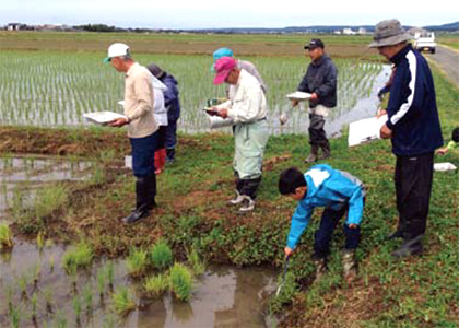 生き物調査